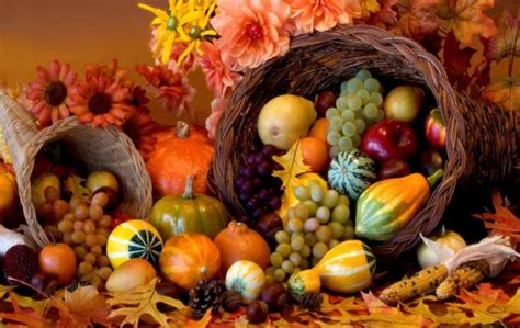Thanksgiving Holiday Autumn Turkey Wallpapers Hd Desktop And