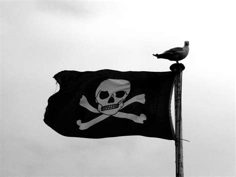 Pirate flags have a much richer history than just the skull and crossbones. This Actress Was Sitting Next to a Guy Who Had Pirated Her ...