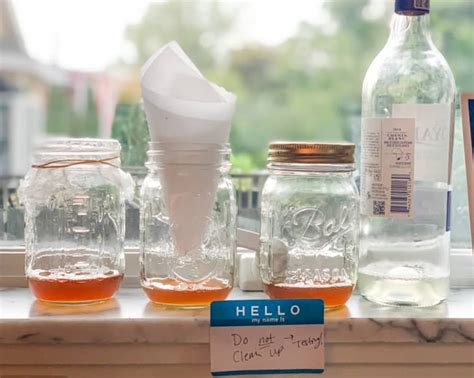 The Best Diy Fruit Fly Trap For Getting Rid Of Fruit Flies