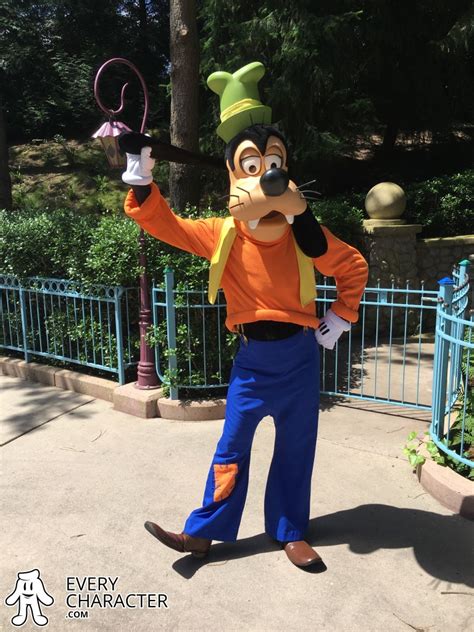 Goofy Disneyland