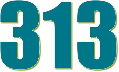 313 — триста тринадцать натуральное нечетное число 65е простое число