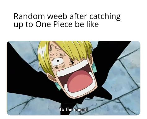 Day 310 Of Making A Meme Out Of Every Onepiece Episode Memepiece