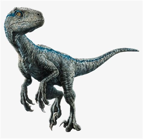 Download Transparent Velociraptor Jurassic World El Reino Caído