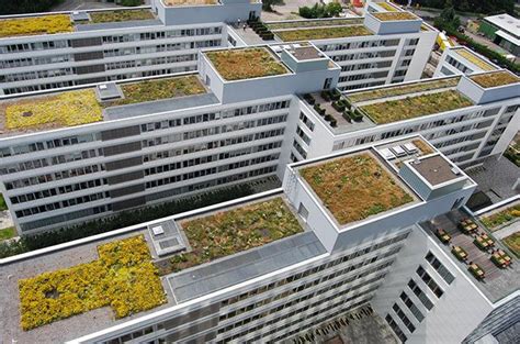 Green Roof On German Office Buildings Green Roof Living Green Roof