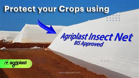 Protect Your Crops Using Insect Net Youtube