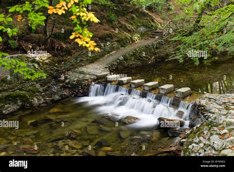 Stepping Stones Crossing A Cascading Stream In Tollymore Forest Park
