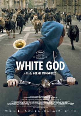 Filmes E S Ries Para Fan Ticos Cinemidade Deus Branco White God