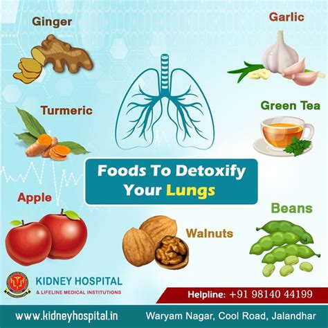 Detoxify Lungs Healing Food Healthy Health Food