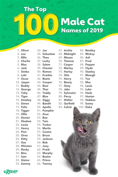 The Top Male Cat Names Of Are Shown In This Poster Which