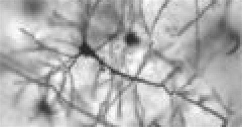 Unexpected Sequels: Family Therapy and Your Child's Health | Psychology