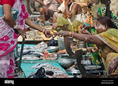 Kolkata Fish Market Hi Res Stock Photography And Images Alamy