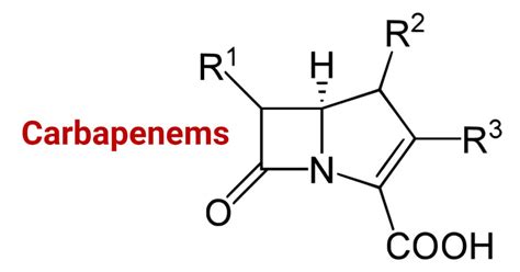 Carbapenems Definition Mechanism Types Uses