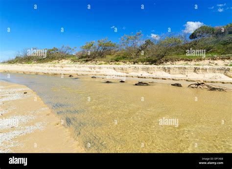 Eli Creek Fraser Island Queensland Qld Australia Stock Photo Alamy