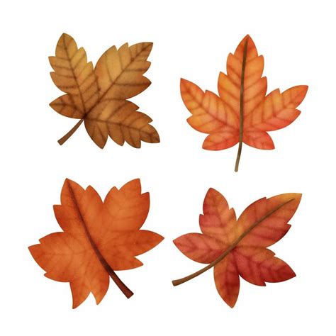Watercolor Autumn Maple Leaves 2969410 Vector Art At Vecteezy