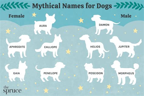 65 Mythical Names For Dogs