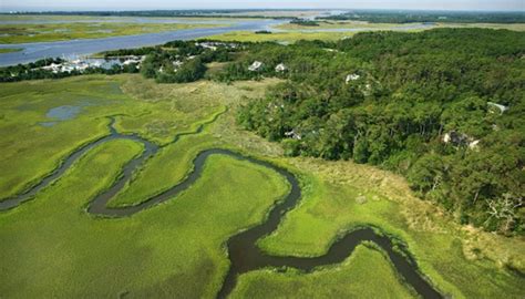 Check spelling or type a new query. How to Stop Creek Erosion | Sciencing