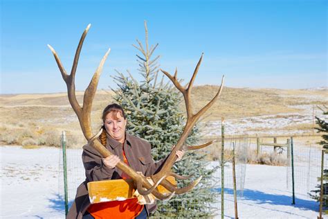 Moffat County Woman Bags A Bull Elk That Scored Over 350