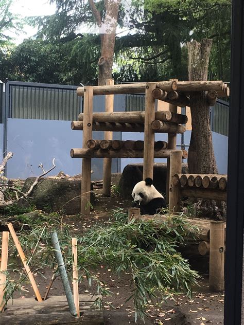 15 Recommended Zoos in Japan | Japan places to visit, Monkey park, Japan