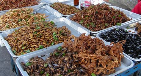 Historically, the japanese shunned meat, but with the modernization of japan in the 1860s. Another Paleo Diet Food Source? Insects! Ewww! - Paleo ...
