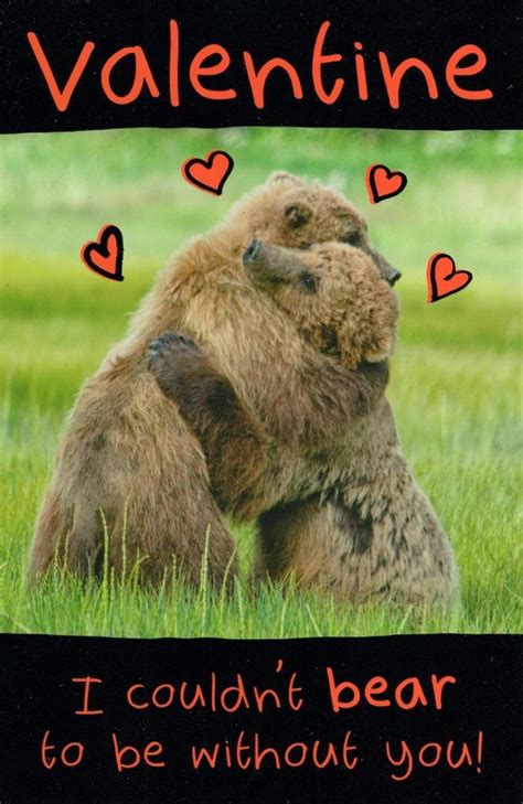 Funny Be My Honey Bear Valentines Day Greeting Card Cards Love Kates