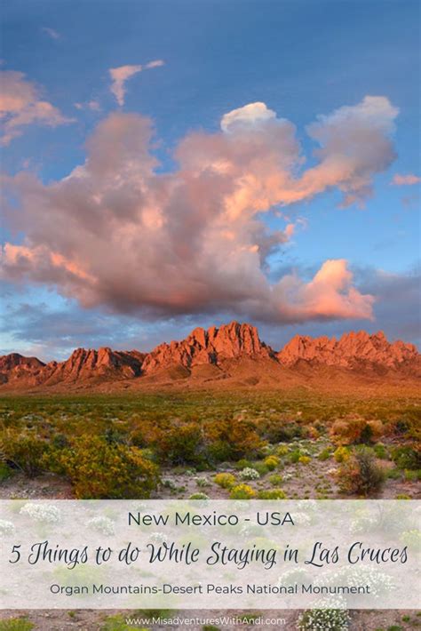 Things To Do While Staying In Las Cruces Travel New Mexico New