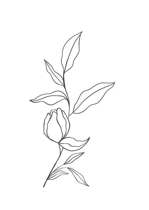 Drawing Of Flowers Png Images Transparent Background Png Play