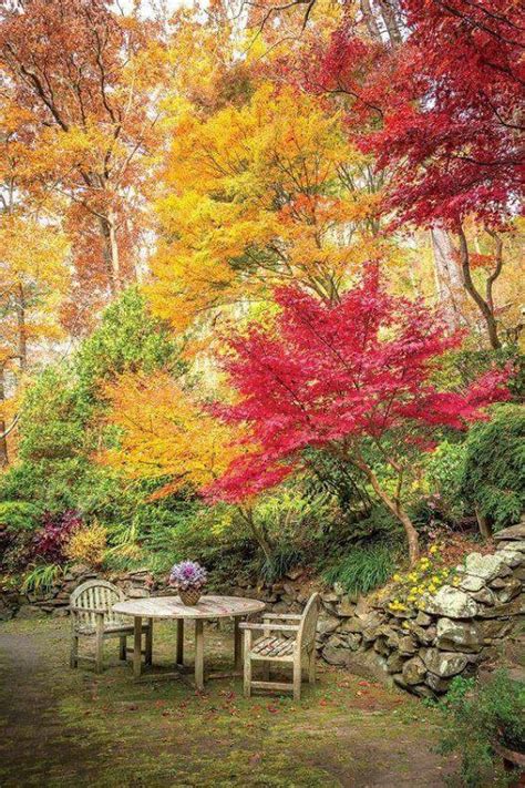 Sign in | Autumn garden, Beautiful gardens, Fall flowers garden