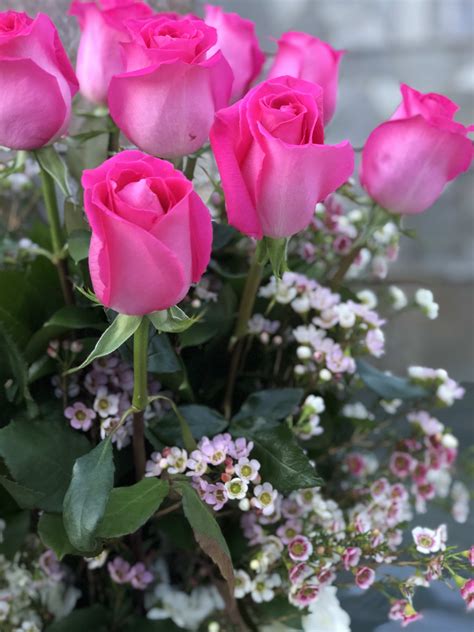 Pauline Dozen Long Stem Pink Roses In A Vase In Torrance Ca Andes