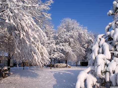 Photo Winter Nature Seasons