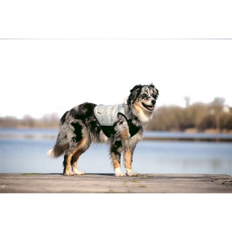News takes a closer look into the woman making the former one direction singer so watch: Cani.Cool Kühlweste für Hunde von Cani.Cool günstig ...