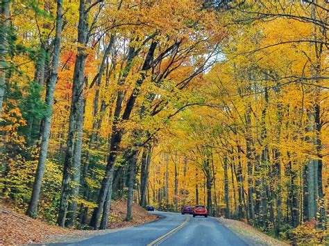 Smoky Mountain Fall Foliage 2017 Travel Quest Us Road Trip And
