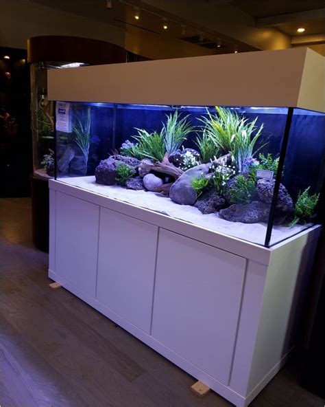 √√ 200 Gallon Fish Tank Home Interior Exterior Decor