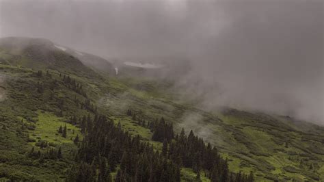 Download Wallpaper 1920x1080 Mountains Trees Fog Clouds