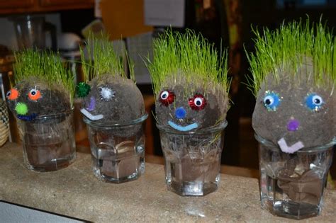 China lesso group holdings limited (incorporated in the cayman islands with limited liability) Turf Buddies AKA Dirt Babies Kit | Oregon Agriculture in the Classroom