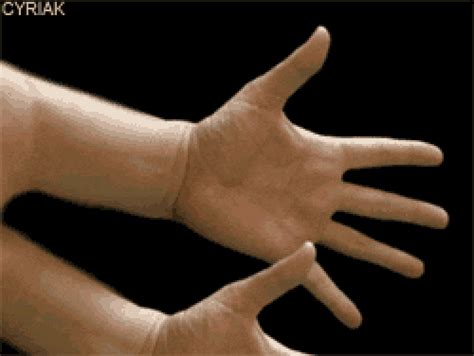 Hand GIF Find Share On GIPHY