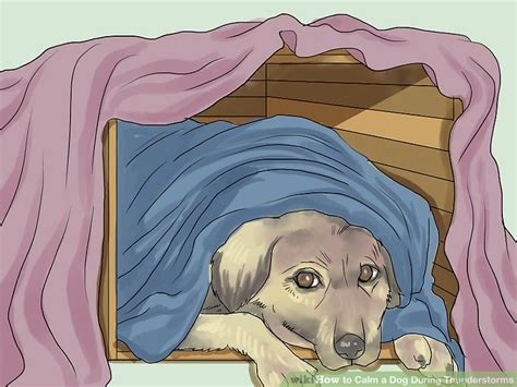 If you know your dog has an issue with storms, noises or a generally fearful character then preparation many months before is going to help your dog far better than firefighting on the night. How to Calm a Dog During Thunderstorms: 12 Steps (with ...