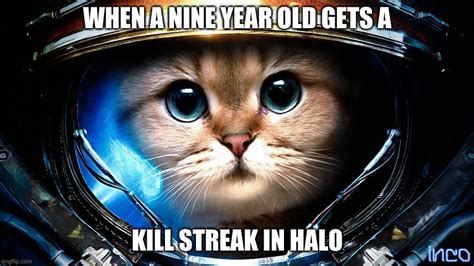 Image Tagged In Halo Cathalokidsvideo Gamesgamescat Imgflip