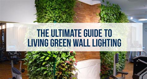 The Ultimate Living Green Wall Lighting Guide Newpro Blog
