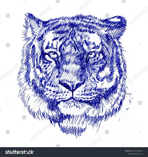 Tiger Graphics Drawing Ballpoint Pen Resolution Stock Illustration