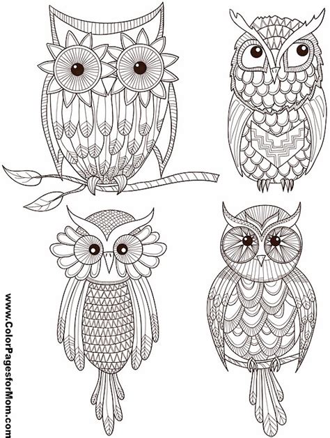 Owl Coloring Page 27