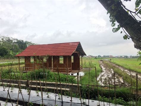Seperti yang telah admin hadirkan di atas semoga dapat memberikan informasi seputar 33 desain kolam ikan minimalis di. Foap Com Rumah Kayu Yang Mungil Diatas Kolam Dan