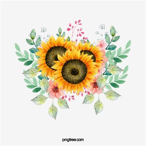 Girasoles Png Ar