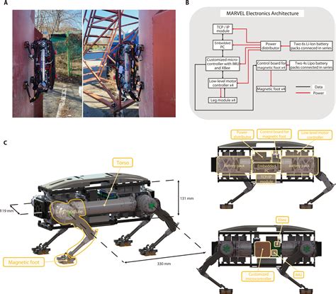 Quadruped Robot With Magnetized Feet Can Climb On Metal Buildings And