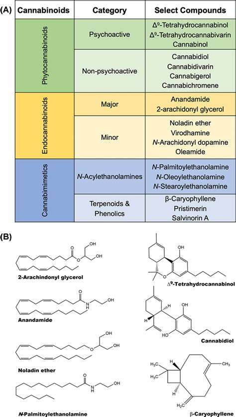 Select Groups And Examples Of Phytocannabinoid Endocannabinoid And