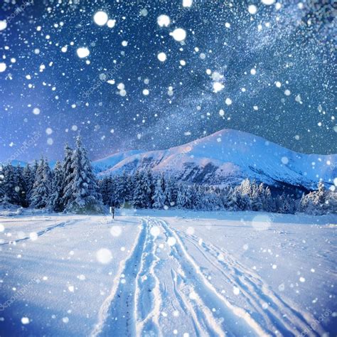 Starry Sky In Winter Snowy Night Winter Background With Some So Stock