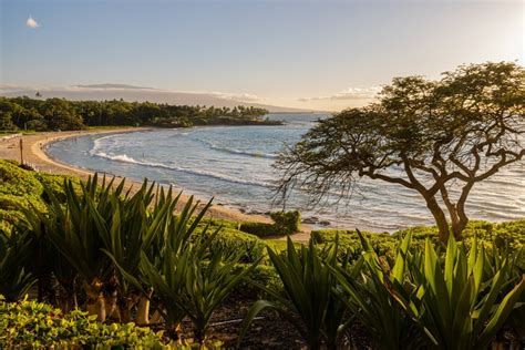 Best Beaches Big Island Hawaii Top 12 Amazing Beaches