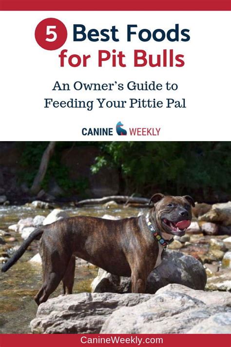 Taste of the wild dry dog food for puppy is an excellent brand of food to consider for your pitbull puppy. The Best Dog Food for Pitbulls in 2020 (Adults and Puppies ...