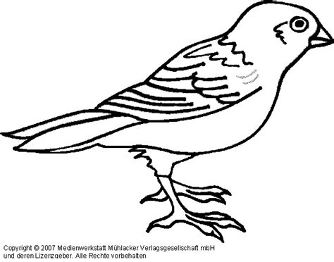 Wandschablonen zum ausdrucken 34 vorlagen mit tollen motiven. Spatz - Medienwerkstatt-Wissen © 2006-2017 Medienwerkstatt
