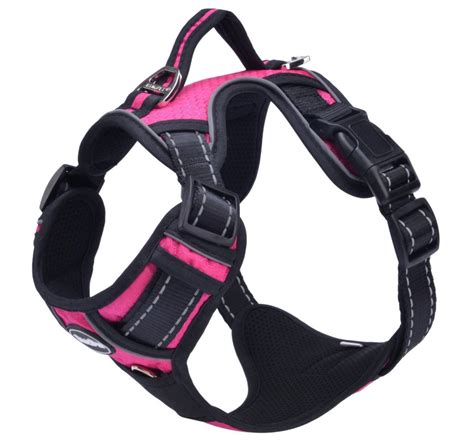 Pupteck Best Front Range No Pull Dog Harness With Vertical Handle