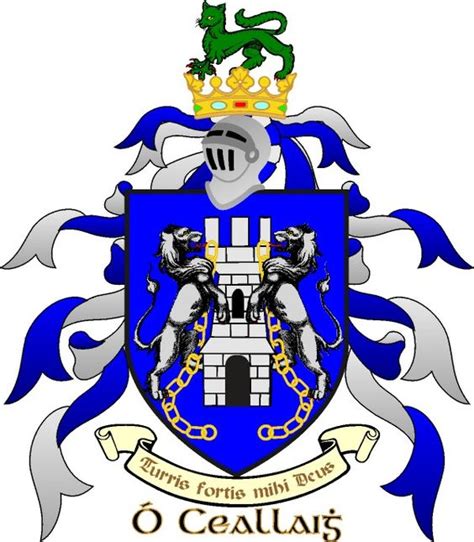 On this page are eight full color family coat of arms images from an early roll of arms belonging to the society of antiquaries of london. The Kelly Family Crest -- my Grandmother's maiden name was ...